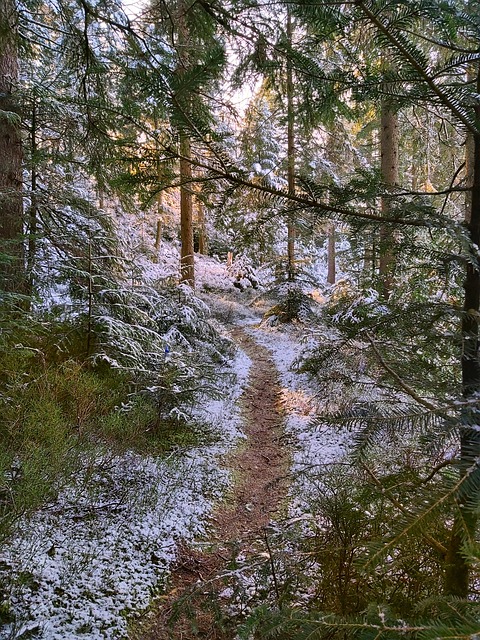 Spaziergang der Bargteheider Senioren